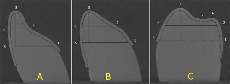 Fig. 4