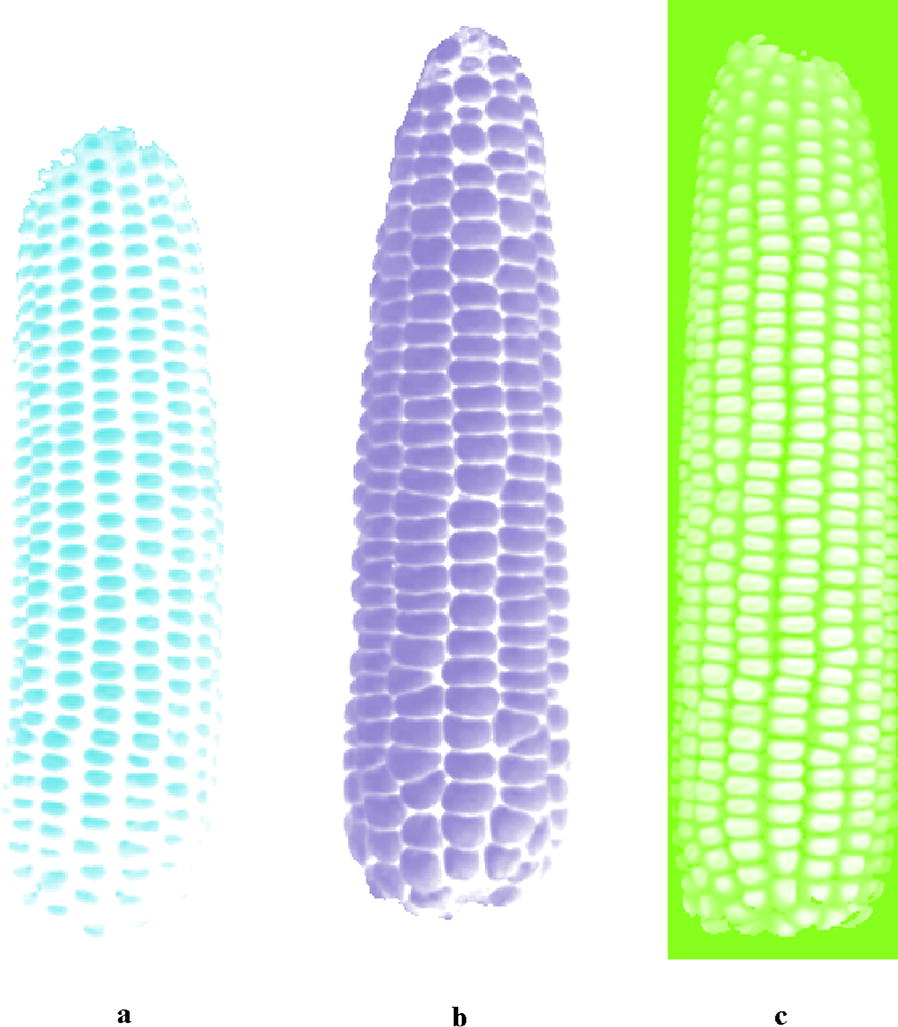 Fig. 7