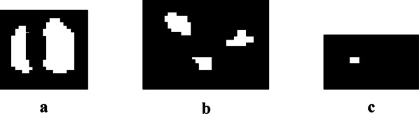 Fig. 21