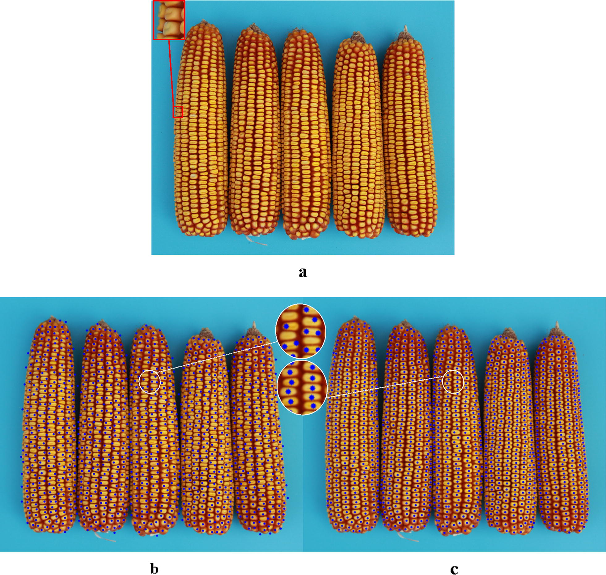 Fig. 14