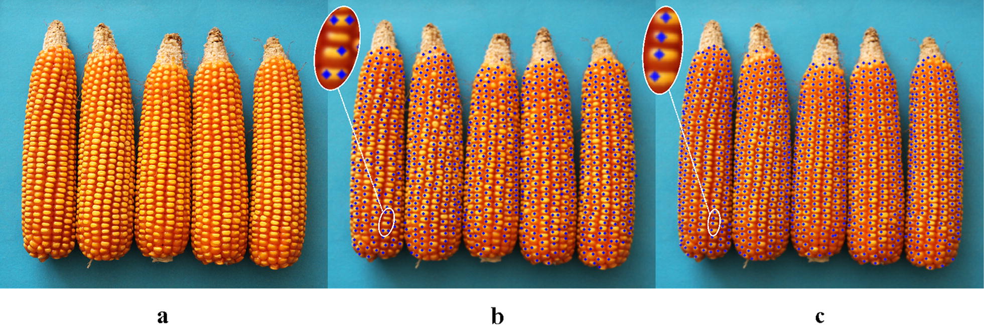 Fig. 13