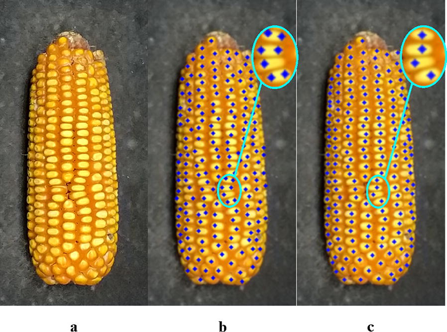 Fig. 12