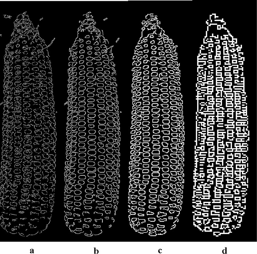 Fig. 3