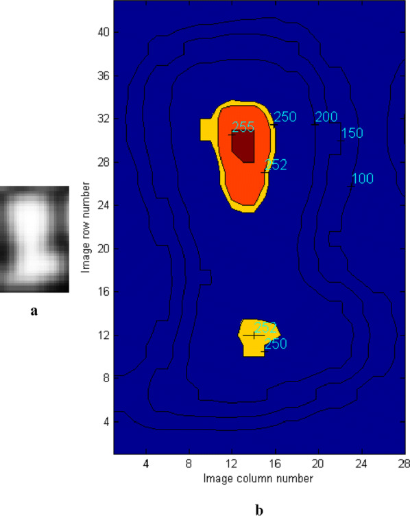Fig. 10