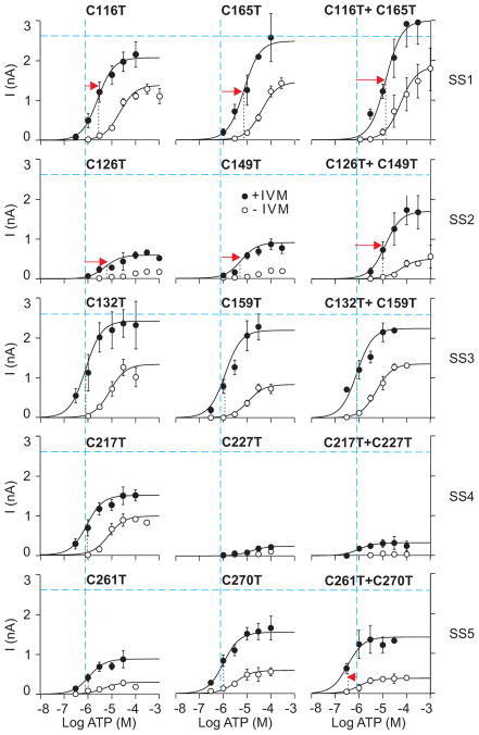 Fig. 3