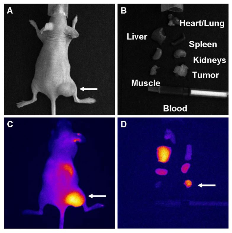 Fig. (8)