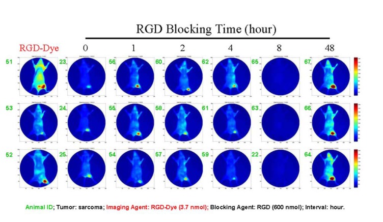 Fig. (1)