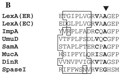 FIG. 7