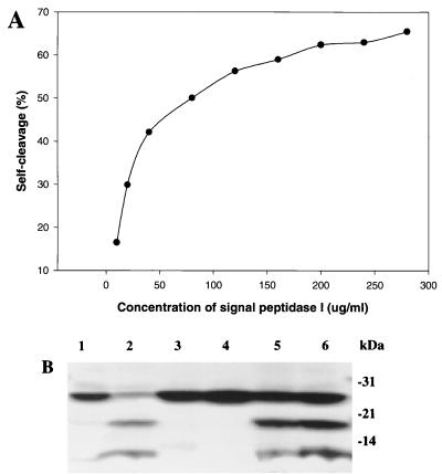 FIG. 6