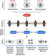 FIG. 7.