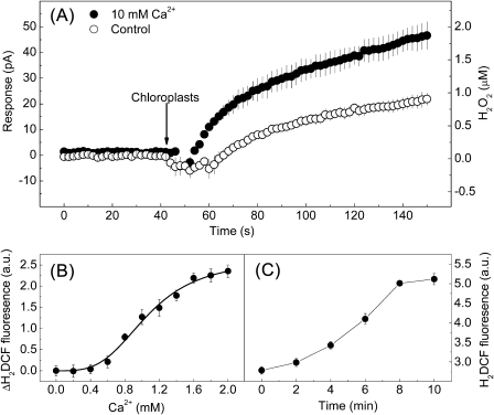 Fig. 3.