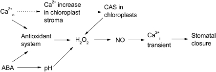 Fig. 8.