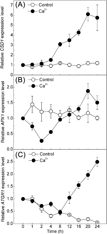 Fig. 7.