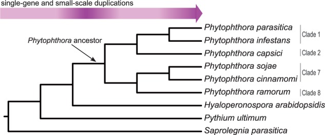 Fig. 1.—