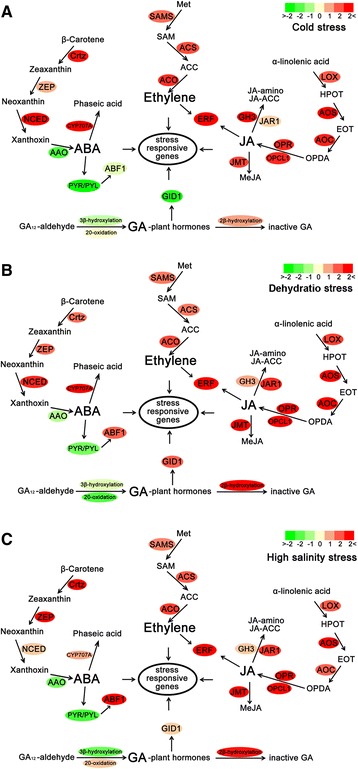 Fig. 2