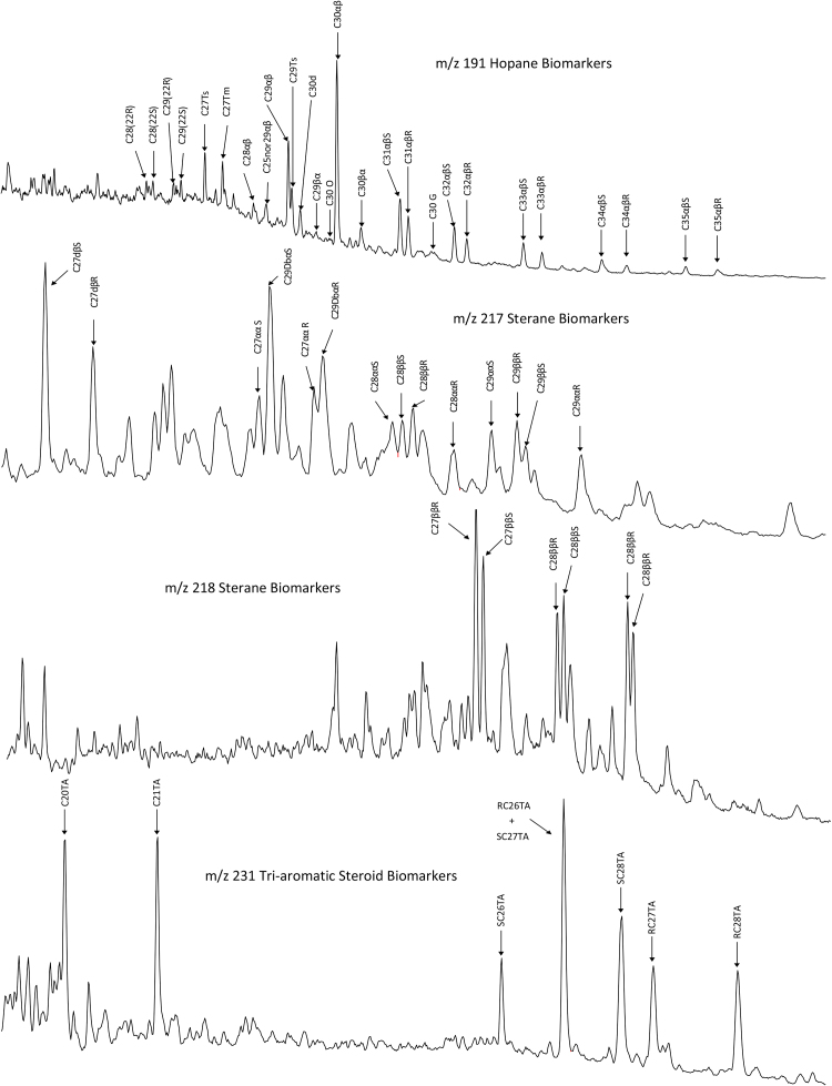 Fig. 15