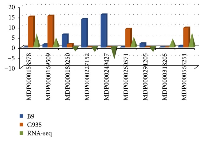 Figure 5