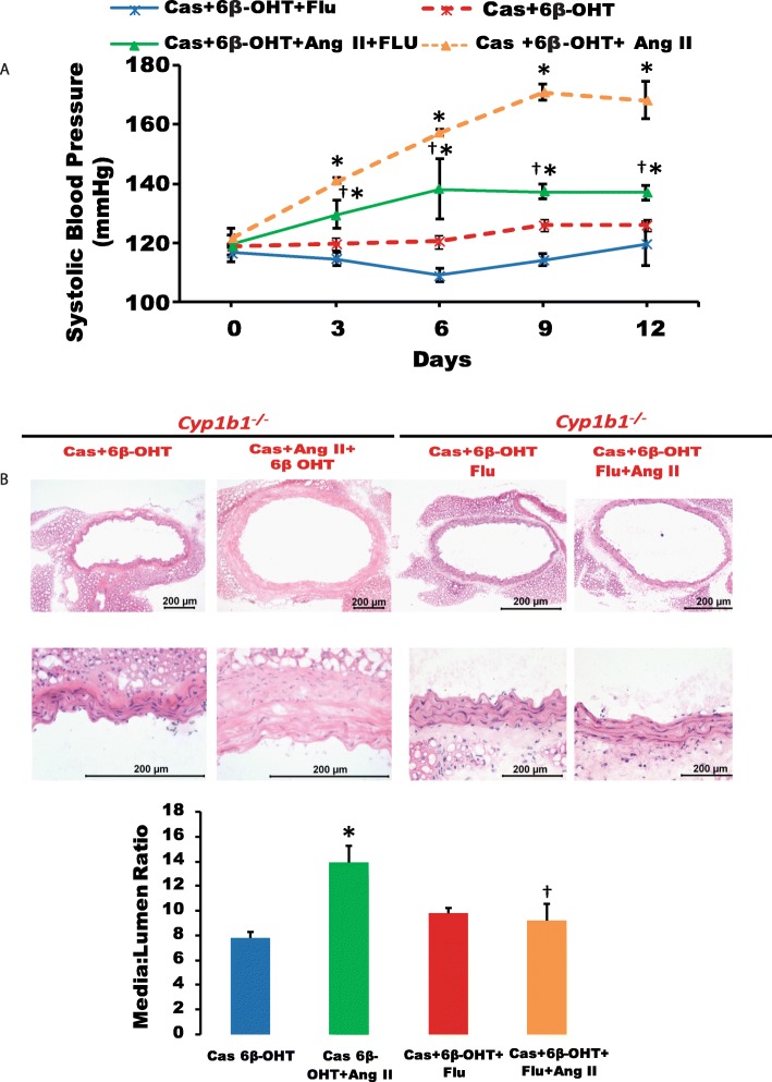 Fig. 9