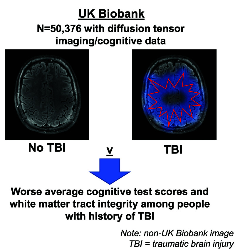 Graphical abstract