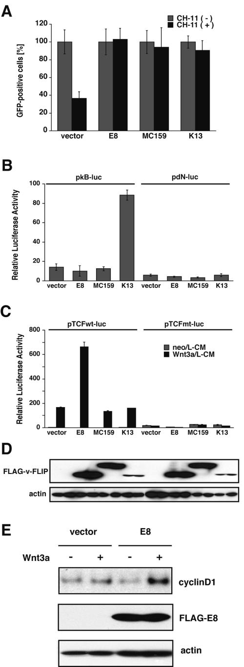 FIG.1.