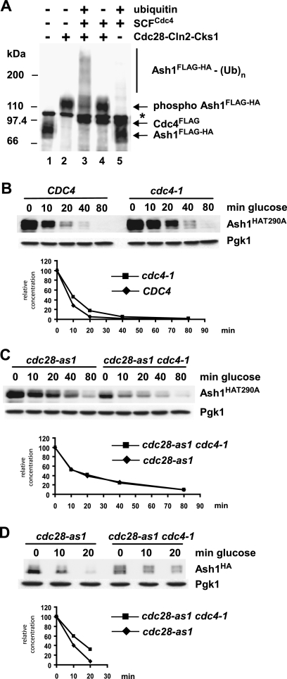 FIG. 9.