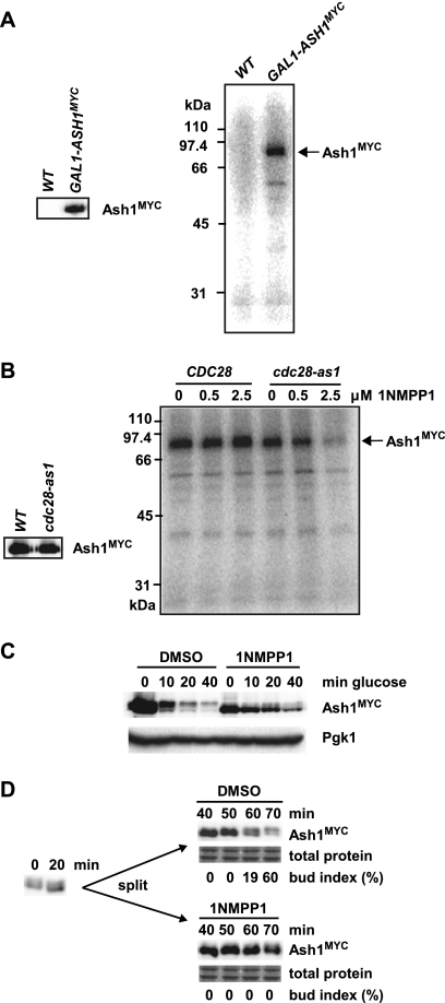 FIG. 8.