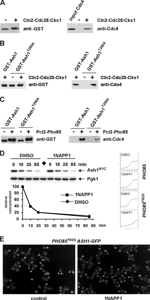 FIG. 7.