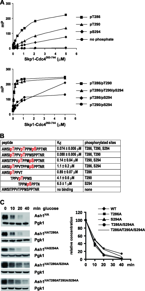 FIG. 10.