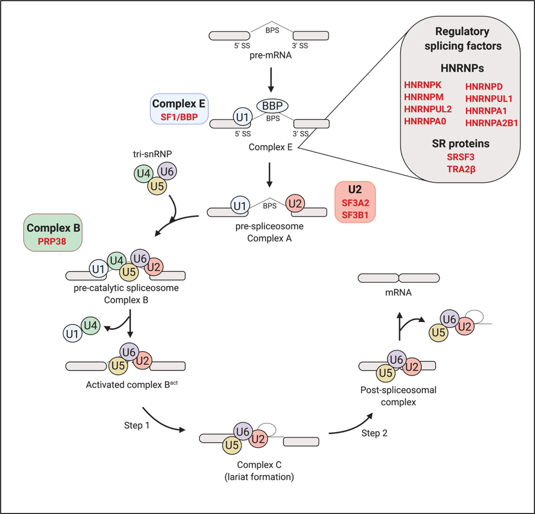 Figure 4: