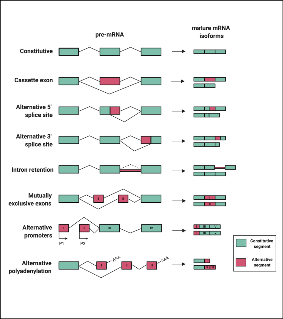 Figure 2: