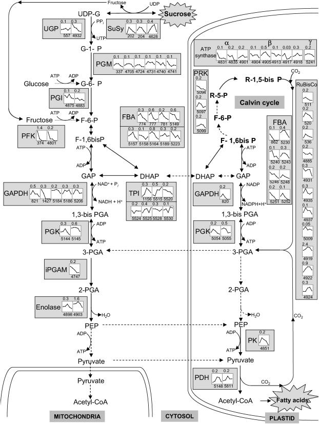 Figure 7.