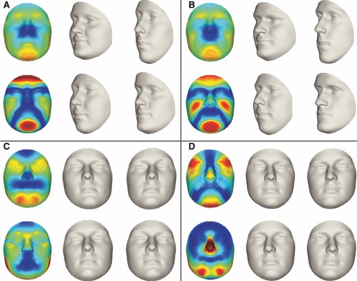 Fig. 7