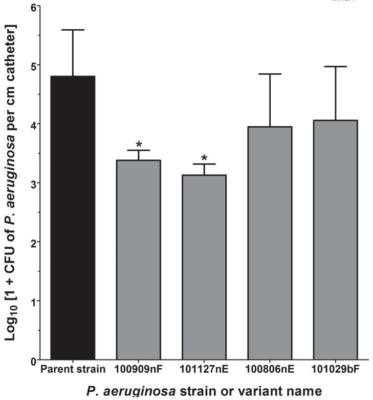 Figure 5