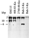 FIG. 3
