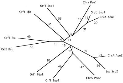 FIG. 3