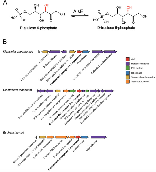 Figure 1: