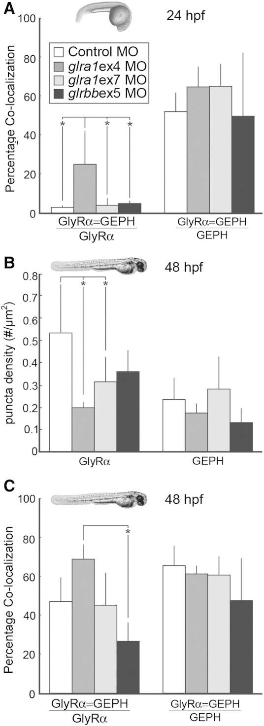 Fig. 8