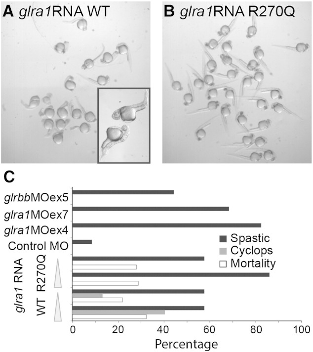 Fig. 6