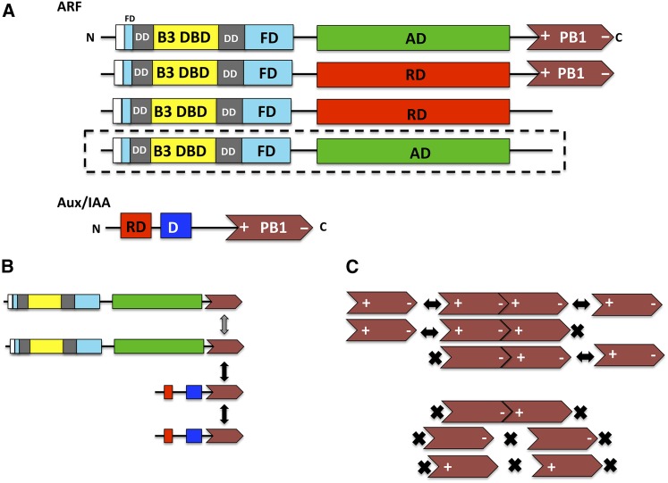 Figure 1.