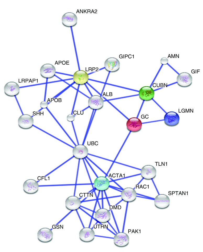 Figure 3. 