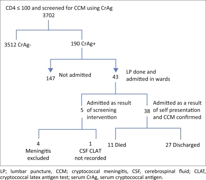 FIGURE 1