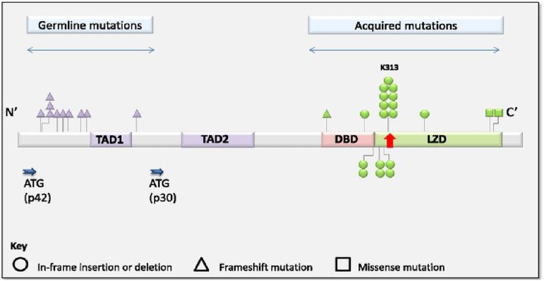 Figure 3.