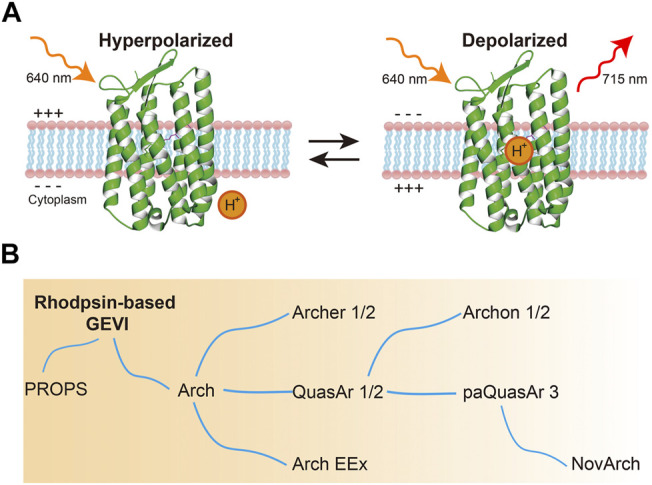 FIGURE 2