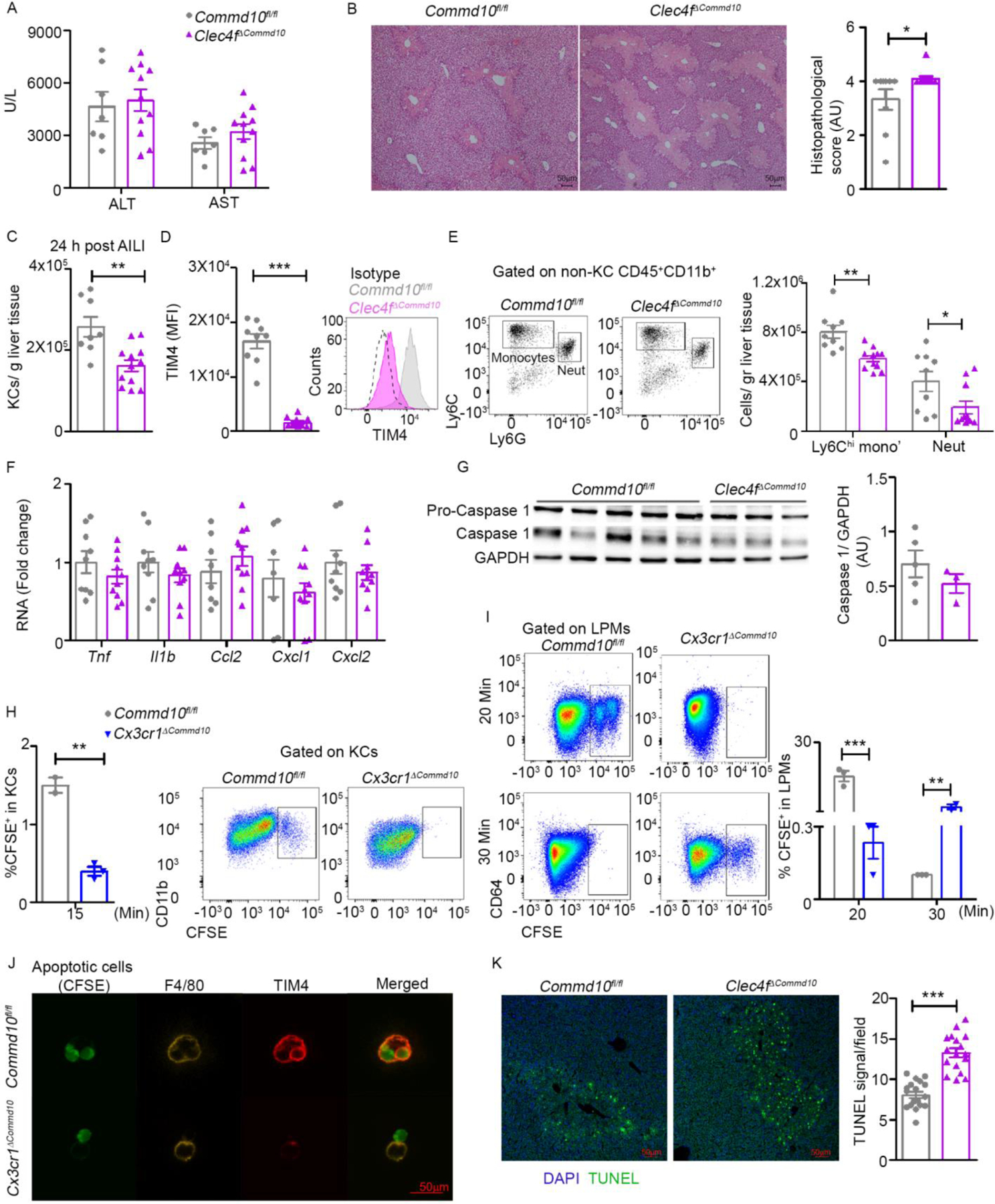 Figure 4: