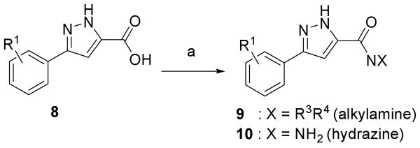 Scheme 2