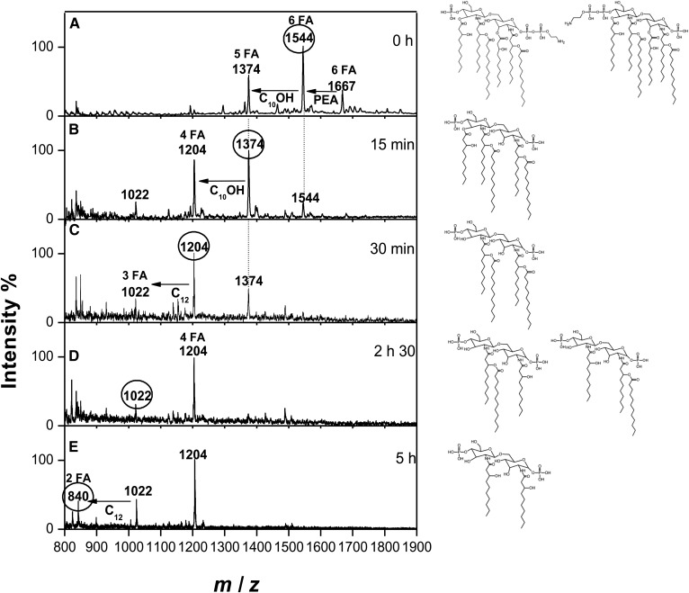 Fig. 2.