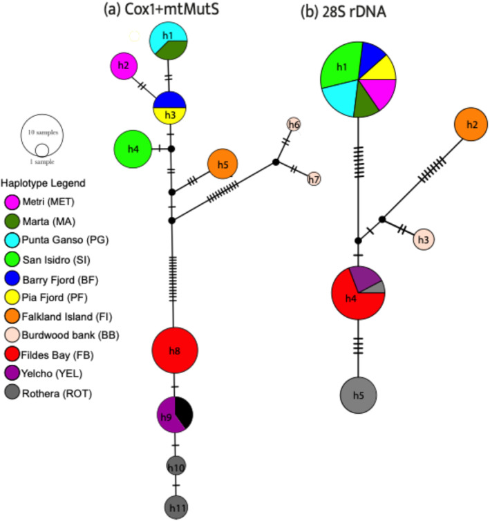 FIGURE 2