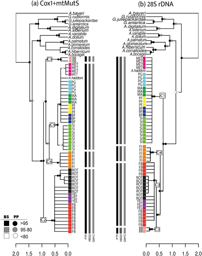 FIGURE 3