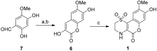 Scheme 1