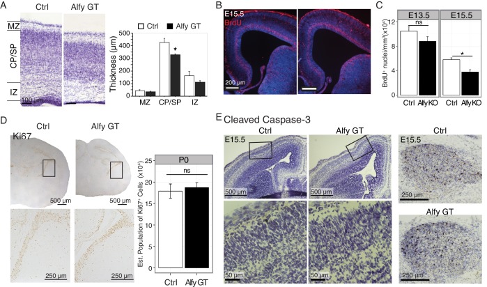 Figure 4—figure supplement 1.